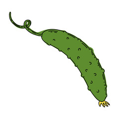 Cucumber colorful line art illustration.