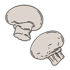 Mushrooms colorful line art illustration.