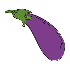 Eggplant colorful line art illustration.