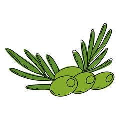 Olive colorful line art illustration.