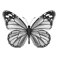 Pixel art butterfly. Animal vector illustration.