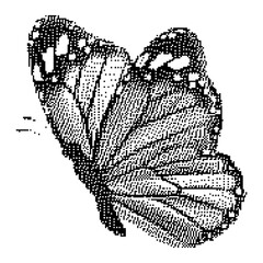 Pixel art butterfly. Animal vector illustration.