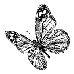 Pixel art butterfly. Animal vector illustration.
