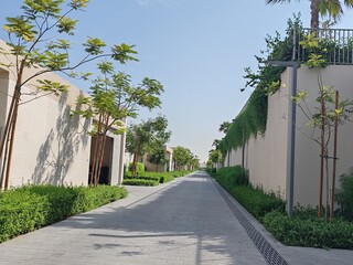 Fototapeta premium Villa's Or Houses With Their Cream Color Design And Front Side Outdoor View. Green Landscaping With Washingtonia Trees At Front Side Of Villa's. Interlock Road Passing At Front Of The Villa's