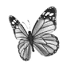 Pixel art butterfly. Animal vector illustration.