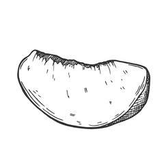 Hand drawn Sliced Peach Sketch illustration