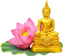 buddha statue in the temple