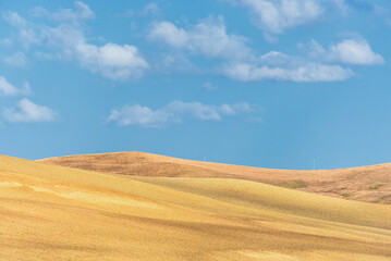 Obraz premium summer countryside landscape inside val d'agri, basilicata