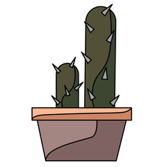 Cactuses. isolated on white background. cactus in  pots. Home flowers in a pot vector on white background
