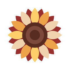 sunflower on white background