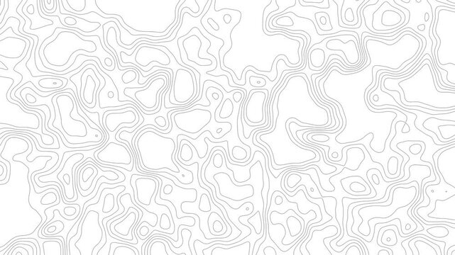 4k Footage Contour Line Pattern Background in Black and White