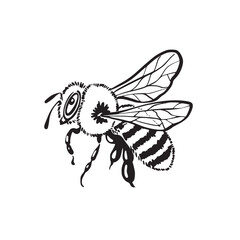 Bee vector illustration on white background. Ideal for eco packaging, branding, infographics, pollinator-friendly labels, and environmental campaigns. Suitable for World Bee Day and Earth Day designs.