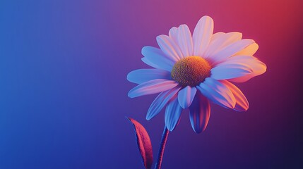 Daisy flower photography neon light art print colorful botanical floral bloom petal nature aesthetic photo