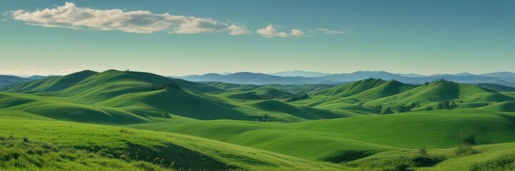 Fototapeta premium Rolling hills of emerald green against a clear azure sky, plant, rural, beautiful