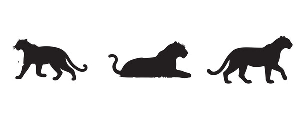 Three-position leopard walk cycle silhouette depicting fluid movement for design or educational use