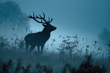 Obraz premium Majestic stag silhouetted against a misty dawn. Serene, ethereal beauty.