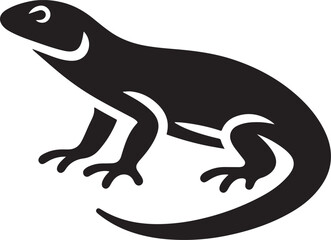 lizard on white background