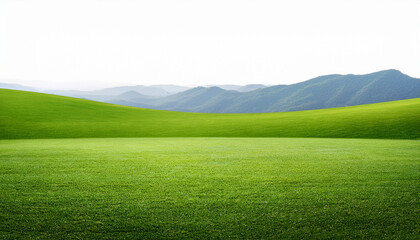 Obraz premium green grass field transparent background
