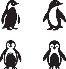 penguin vector illustration
