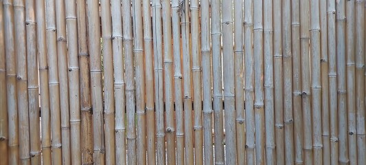 Natural Bamboo Fence Texture Rustic Wooden Background Asian Style Wall