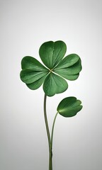 Close-up of a four-leaf clover plant against a solid light gray background. The main focus is the four heart-shaped leaves, exhibiting vibrant green hues and a glossy texture.