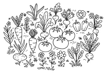 Jardin potager florissant - Illustration vectorielle noir et blanc