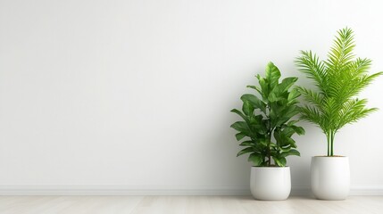 A captivating duo of lush green plants in elegant pots, showcasing a perfect blend of style and nature that brightens up contemporary living spaces effortlessly.