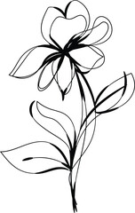 Elegant Black Line Art Flower Drawing Botanical Illustration