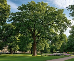 Obraz premium Elegant woman walking in the city garden on a sunny day