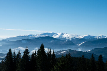 View on Carpathians Mountains Valley in Sunny Winter Day