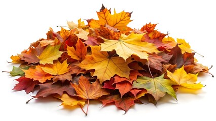 Fototapeta premium Pile of autumn colored leaves isolated on white background