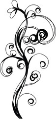 Elegant Black and White Floral Design Element Swirls Vines