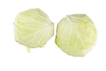 Fototapeta premium Cabbage isolated on white background.