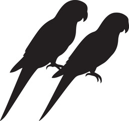 double parrot vector art illustration  white 27 