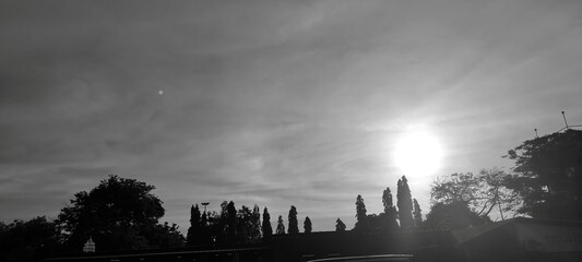 Monochrome Landscape Sunlit Sky Trees Silhouette Cloudy Day