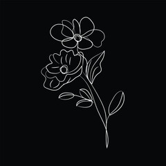 black and white flowers