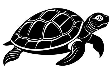 turtle vector illustration