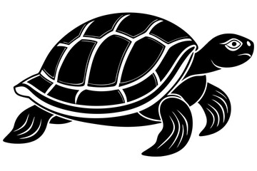 turtle vector illustration