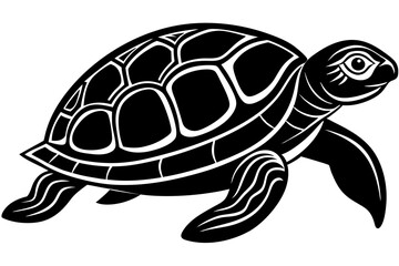 turtle vector illustration