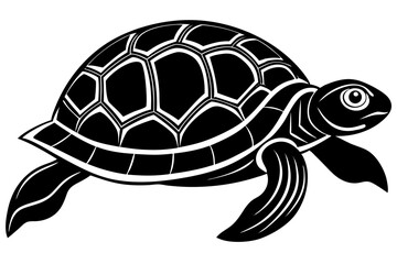turtle vector illustration