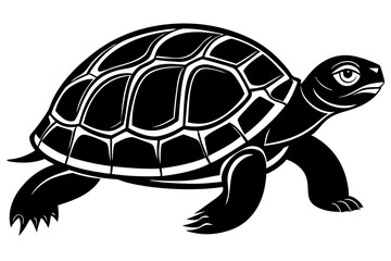 turtle vector illustration