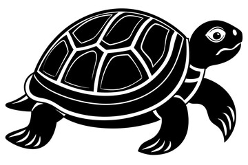 turtle vector illustration