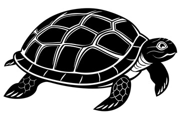 turtle vector illustration