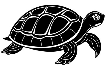 turtle vector illustration