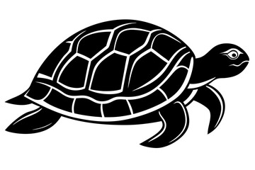 turtle vector illustration