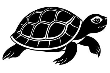 turtle vector illustration