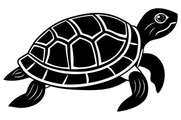 turtle vector illustration