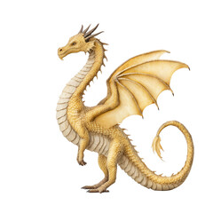 Obraz premium A golden dragon stands poised with wings partially open on a white background.