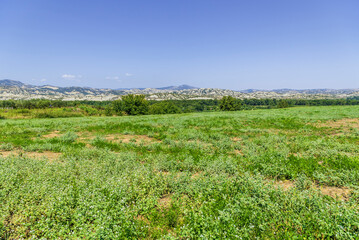 summer countryside landscape inside val d'agri, basilicata