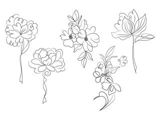 hand drawn flowers